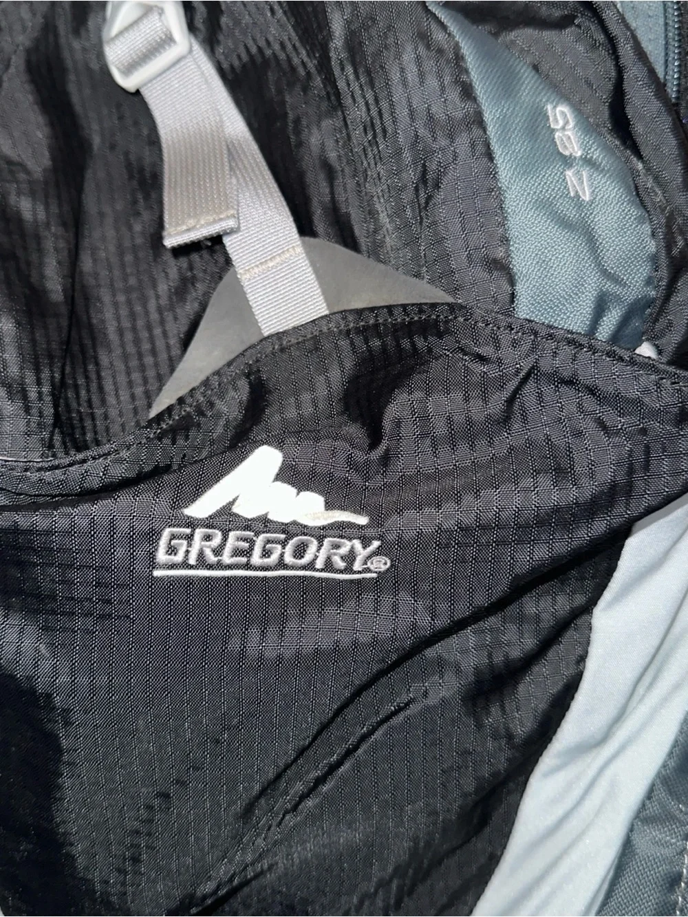 Gregory Z 25 Black And Gray Men's Backpack